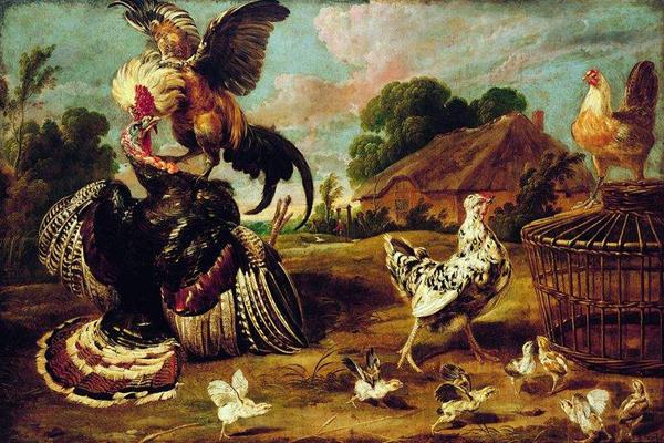 Paul de Vos The fight between a turkey and a rooster. oil painting picture